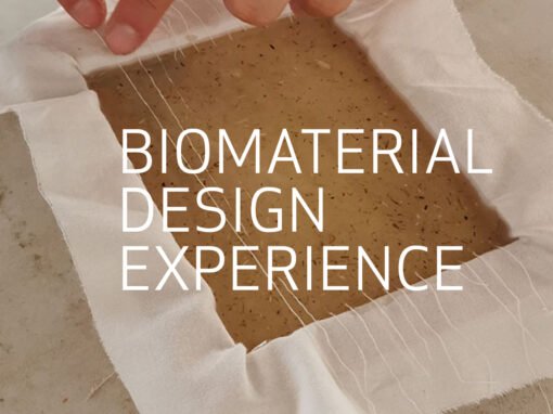 Biomaterial Design Experience: