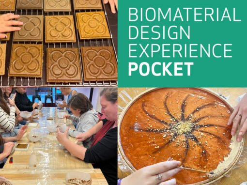 Biomaterial Design Experience Pocket