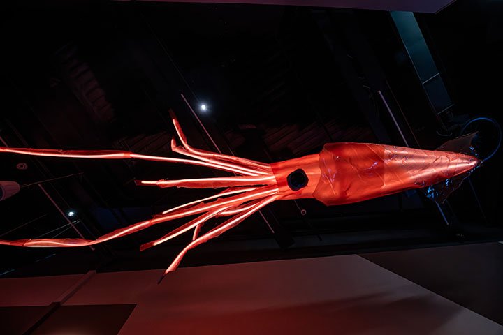 naifactorylab_museu-ciencias-naturales-barcelonab_22